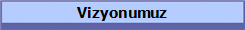 Vizyonumuz