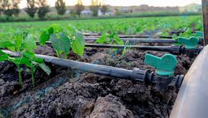 Drip Irrigation System Guide in Kenya | Aqua Hub Kenya Call 0790719020