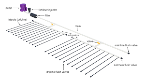 Planning a drip irrigation system | Drip irrigation | Irrigation | Water | Farm management | Agriculture Victoria